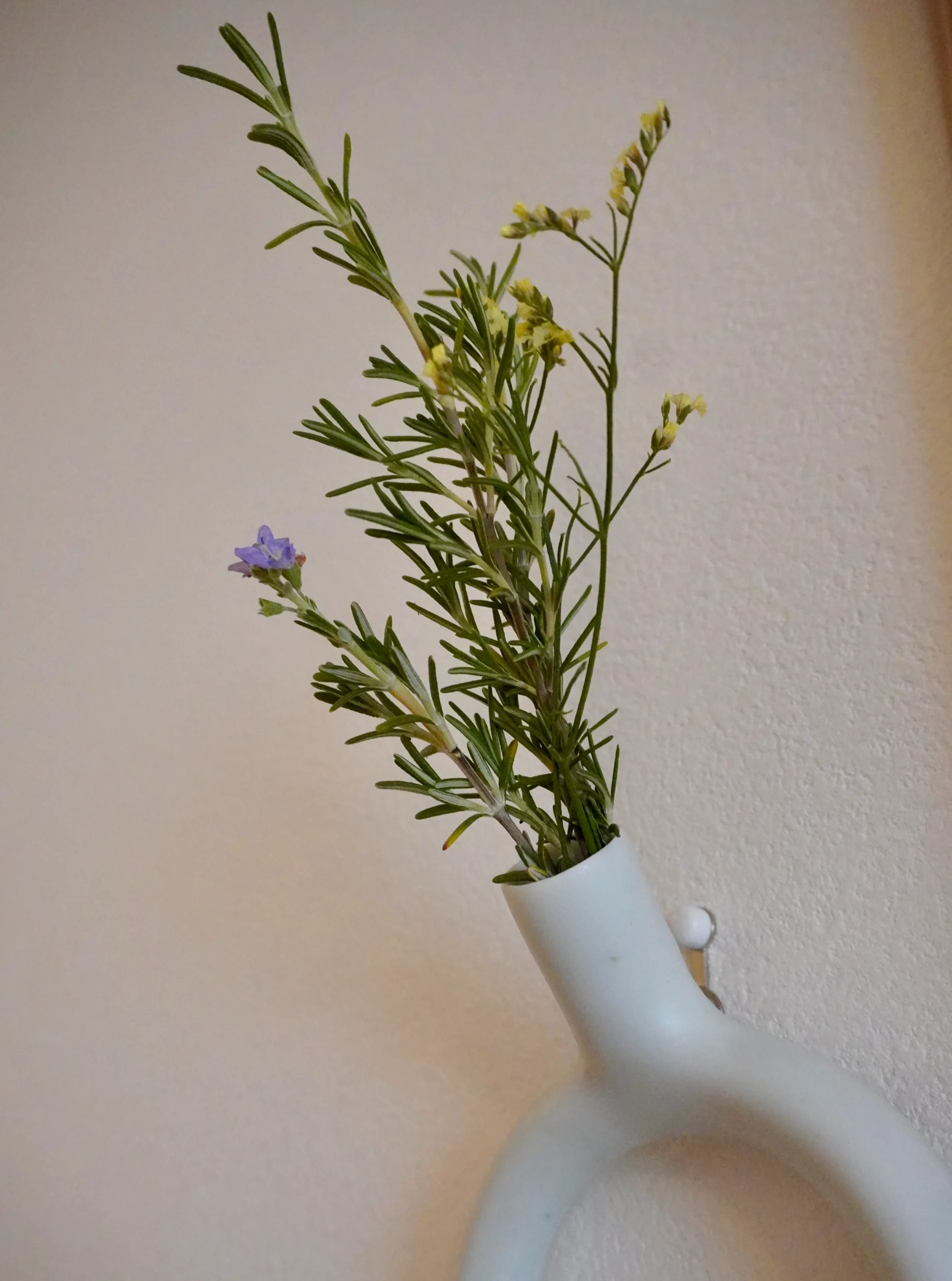 白い花器に生けられた小さな花
